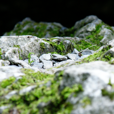 Stones, par Xavier E. G. Dierick